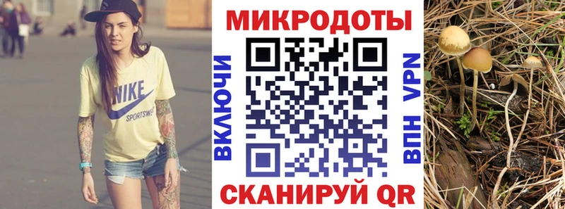 Галлюциногенные грибы GOLDEN TEACHER  Междуреченск 